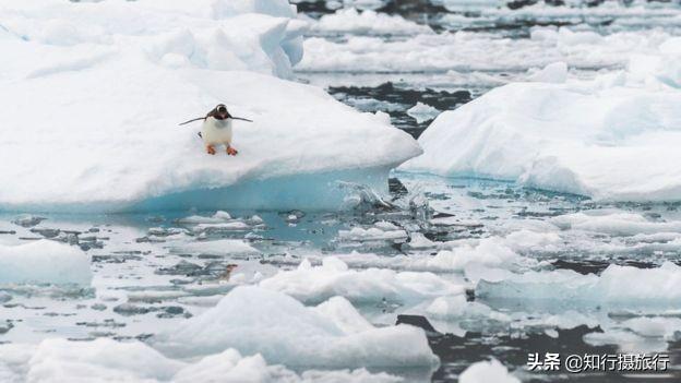 20.75度！史上最热南极，最高气温破纪录！气候变暖冰川融化