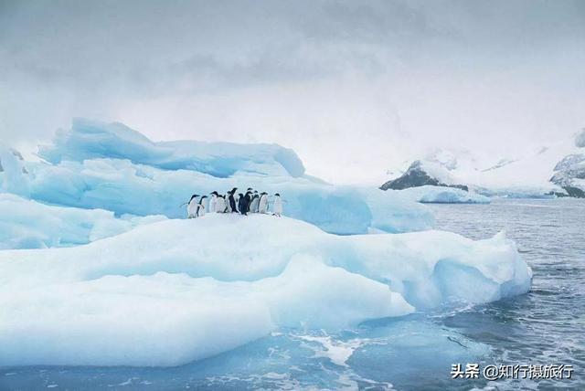 20.75度！史上最热南极，最高气温破纪录！气候变暖冰川融化