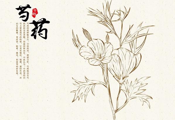 带您通过《这就是二十四节气》立夏节气知识,学会夏季养生!