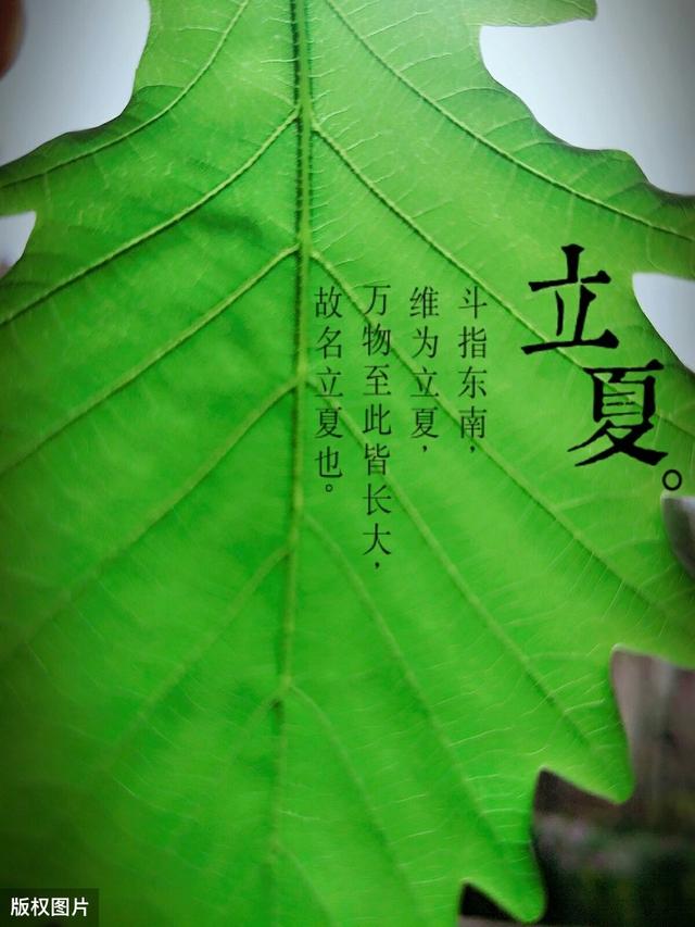 带您通过《这就是二十四节气》立夏节气知识,学会夏季养生!