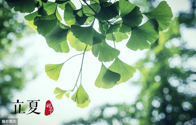 带您通过《这就是二十四节气》立夏节气知识,学会夏季养生!