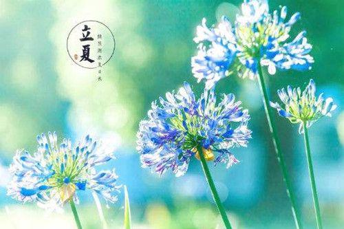 习俗：关于立夏还有这些知识需要了解