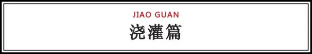 2020立夏|你需要知道的苗木养护知识