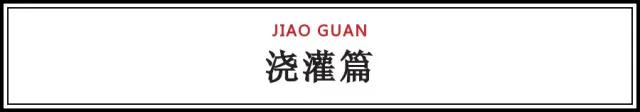 2020立夏｜你需要知道的苗木养护知识