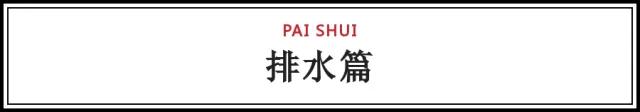 2020立夏|你需要知道的苗木养护知识