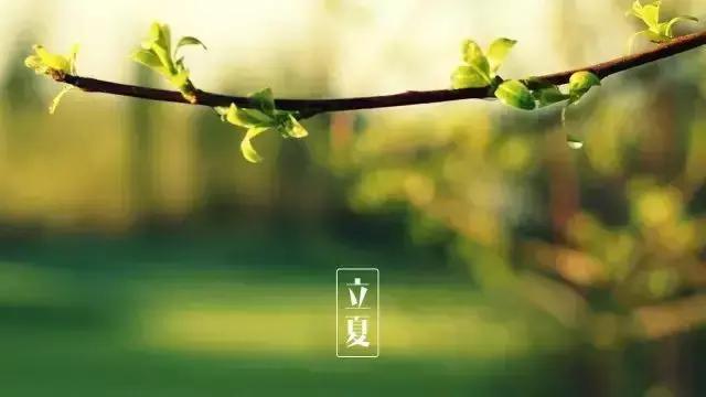 今日立夏,把这些和夏天有关的事儿讲给孩子吧!