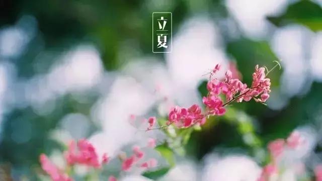 今日立夏,把这些和夏天有关的事儿讲给孩子吧!