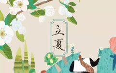 把这些和夏天有关的事儿