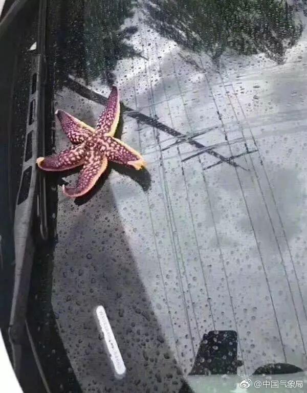 强对流到底有多强?