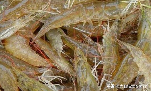 美食葫芦岛,带你揭秘葫芦岛那些独具特色的美食,个个都不可错过