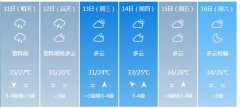 海口市5月11日—16日期间天