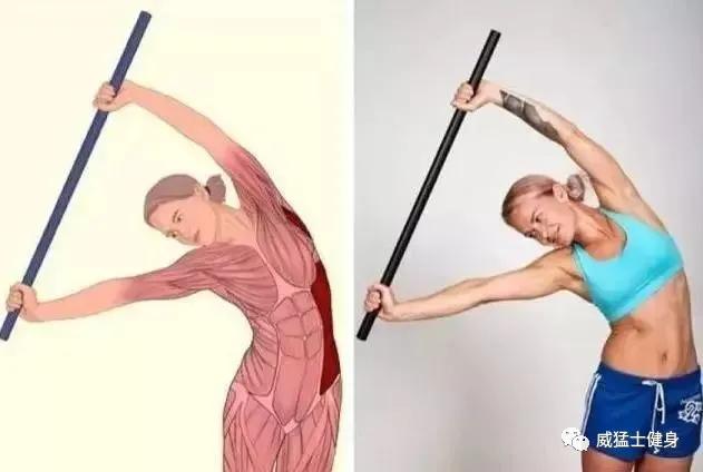 健身硬干货:我们到底该如何热身