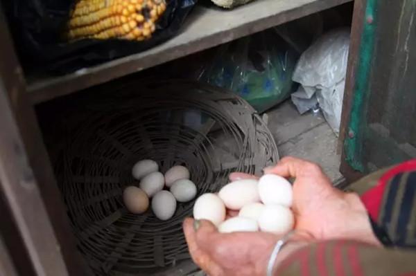 舌尖上东江湖美食：金银蛋饼