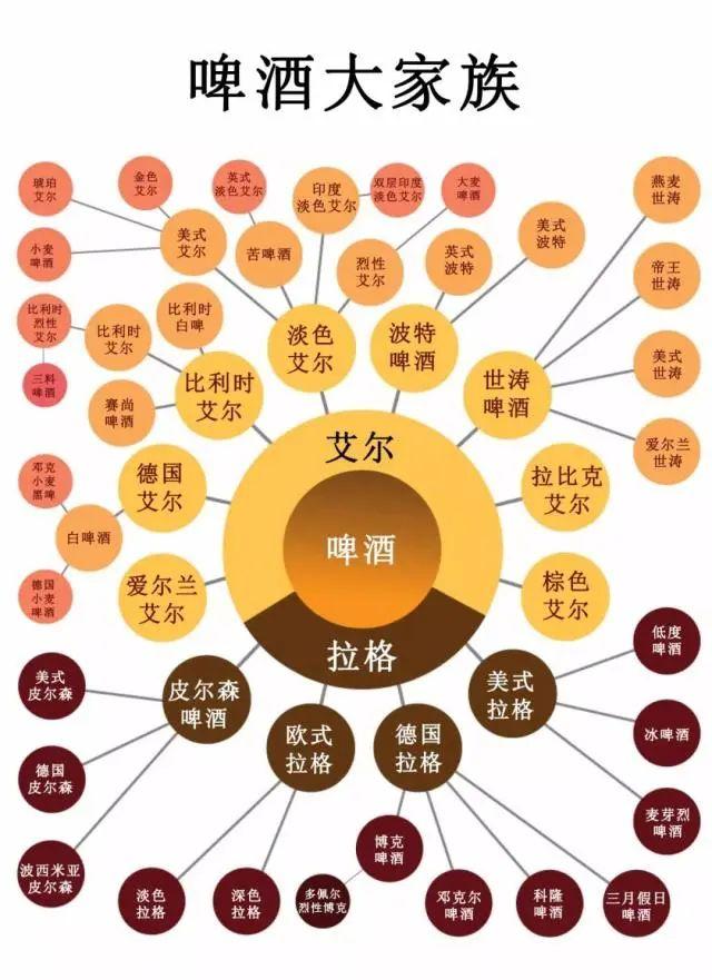 为什么你一直都不会喝啤酒?