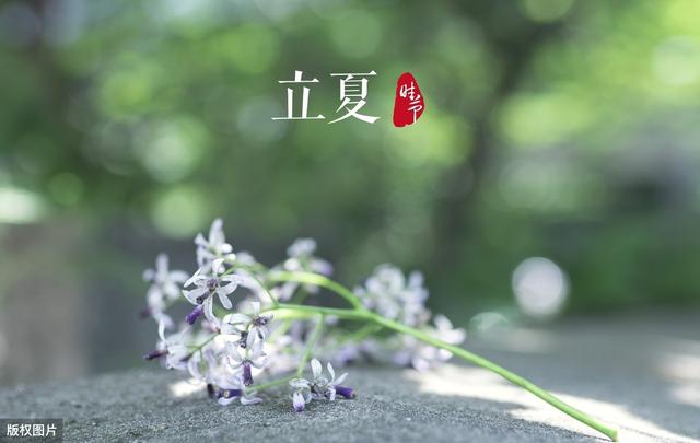 立夏起适当午睡,冠心病发病率下降20%,但有4种人不宜睡午觉