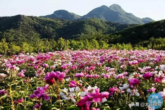 大连十条美如画的旅游路线！大部分无需门票，赶紧看都有哪些路线