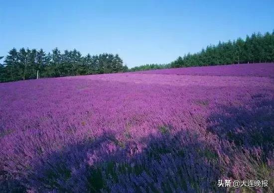 大连十条美如画的旅游路线！大部分无需门票，赶紧看都有哪些路线