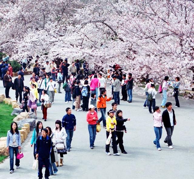 大连去哪玩?第一次的大连自助旅行(自由行)旅游攻略