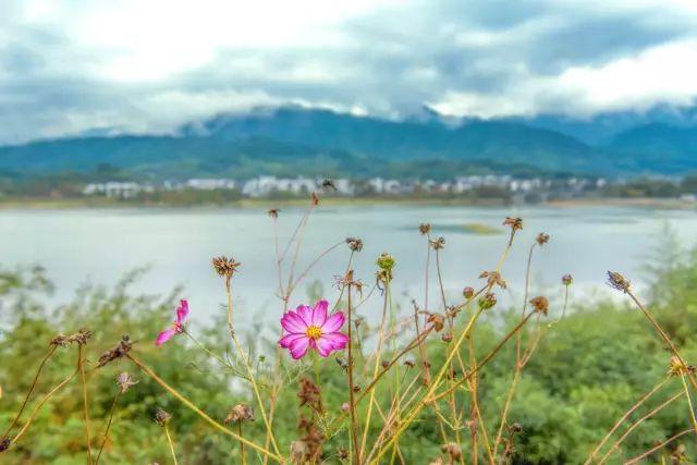 这12个深藏在安徽的美景，骨灰级旅游达人才知道