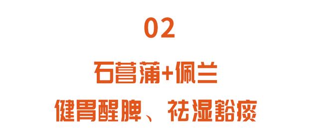 四个信号，提示大脑正在衰退！野韭菜这样用，益心智、增智力