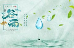 谷雨节气养生吃什么