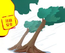 台风预警信号有哪几个等