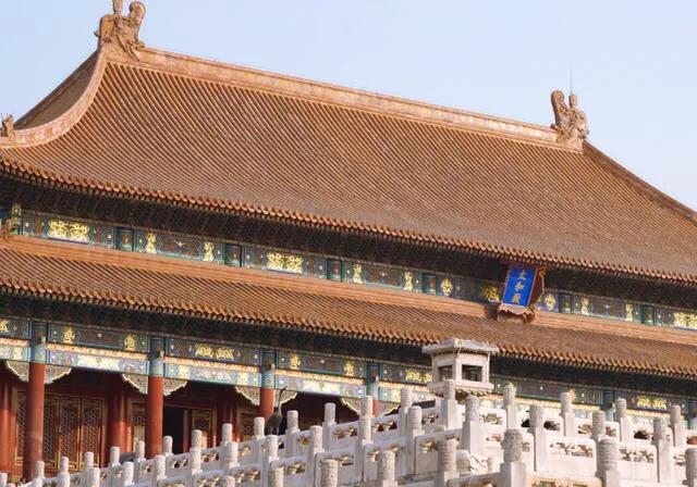 为什么故宫没有鸟敢在上面排便?看完不禁感叹古人太聪明了