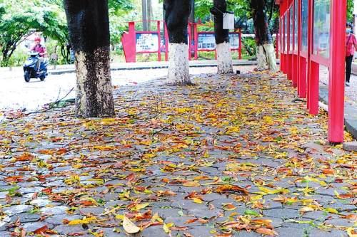 未来七天广西多阵雨或雷雨天气 南宁气温偏高(图)