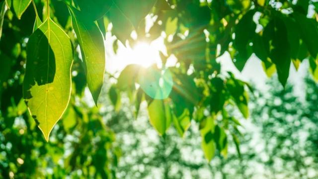 雨水暂歇，周末气温又蹿升！杭州这项天气数据再破同期纪录