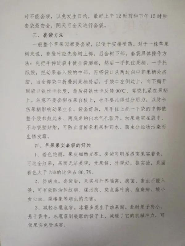 全县大风、降温、降水天气,套袋果农请看这里的建议