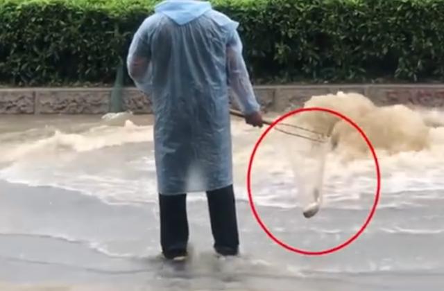 广东雨有多大?路人竟当街捕鱼,未来几天天气仍不稳定