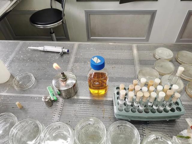 家里有娃要不要用公筷？一个实验告诉你，结果有多惊人