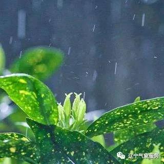 快讯！辽宁省气象台发布5月26日—28日期间天气预报