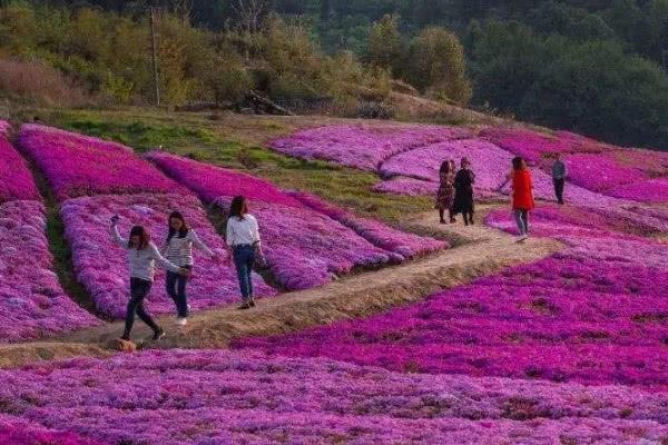 中国“最值得”游玩景点，风景如画，游客：不去可能遗憾了