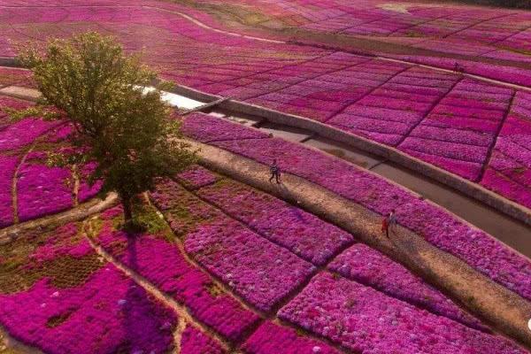 中国“最值得”游玩景点,风景如画,游客:不去可能遗憾了