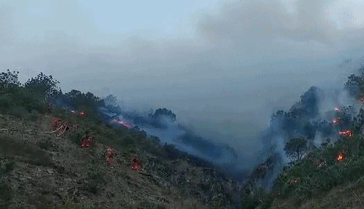 四川凉山再发火灾详细情况 各级消防数百人已赴火场救援