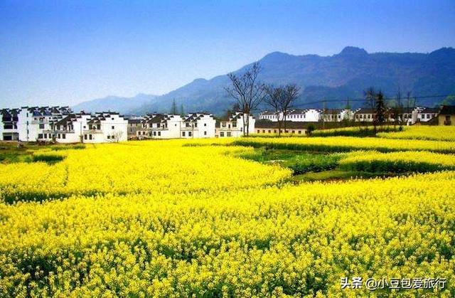 去江西旅游,美景错过“不遗憾”,这道美食“不恰”,遗憾三生