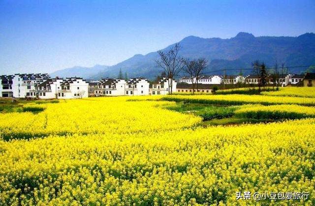 去江西旅游，美景错过“不遗憾”，这道美食“不恰”，遗憾三生