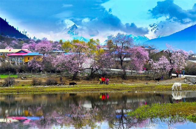 一生中不得不去的三个地方！魅力青海、广袤新疆、神圣西藏