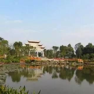 广州十大必去旅游景点,去了5个算及格,包你去了还想去