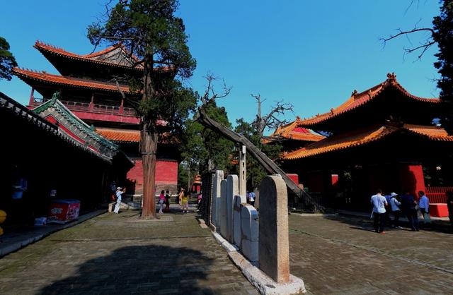山东10大旅游景点排行榜,一个比一个厉害,你最喜欢哪几个景点