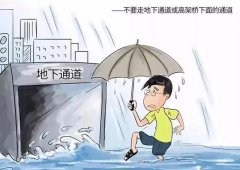 在暴雨来临前，应尽快出