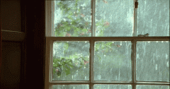 大到暴雨~青浦天气即将大