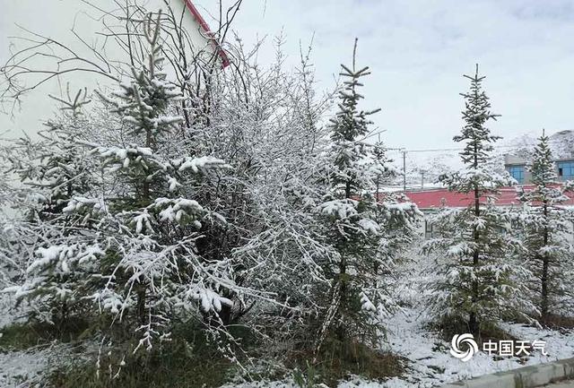 被夏天遗忘！青海久治6月再飘雪