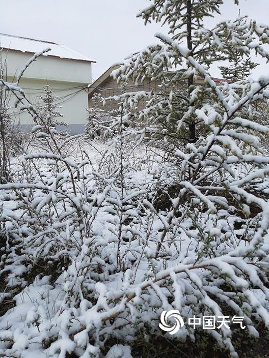 被夏天遗忘！青海久治6月再飘雪