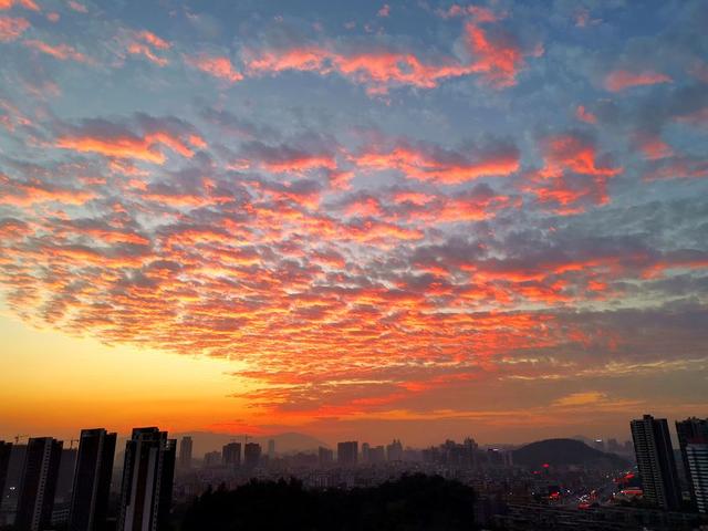 美图来袭!今天的江门美炸了,未来几天天气有惊喜……