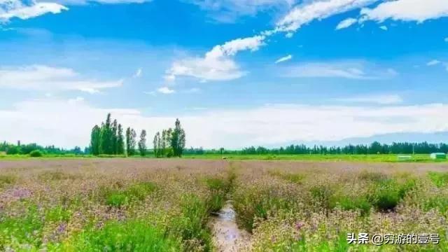 6月国内最佳旅行地推荐,这10个地方,你想哪一个?