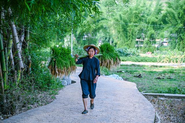 藏在贵州大山的避暑胜地，常年气温只有19.5度，还被誉为世外桃源