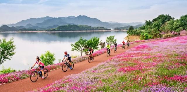重磅!交通强国“杭州方案”正式发布!5433冲击世界一流