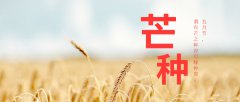 天气闷热，4道食膳祛湿解